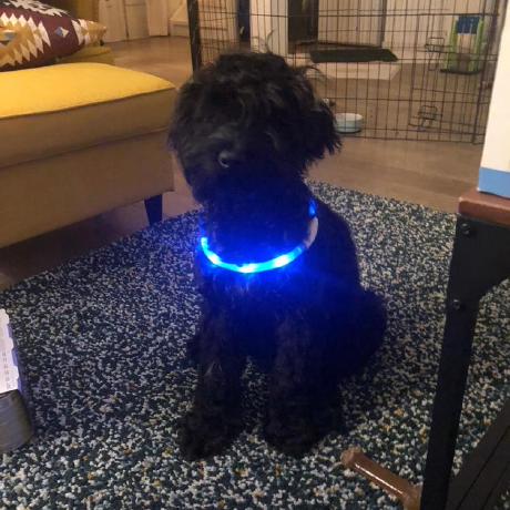 Aben1188 Aben Github - Premium City Photo - HD