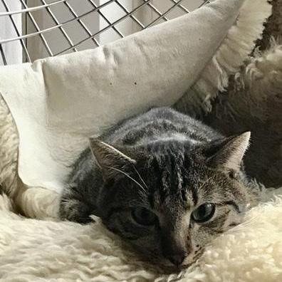 Wadevries Wouter De Vries Github - Best Sunset Illustrations in Ultra HD