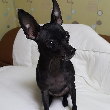 Github Maximsungmo Maximsungmo Github Io Https Maximsungmo Github Io - Gradient Picture Collection - Ultra HD Quality