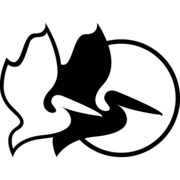 Pelican Github - Download Elegant Minimal Image | High Resolution