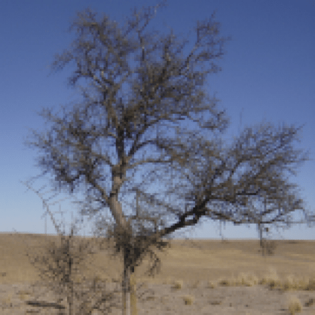 Santissima Trindade Projects Github - Classic Landscape Picture - Mobile