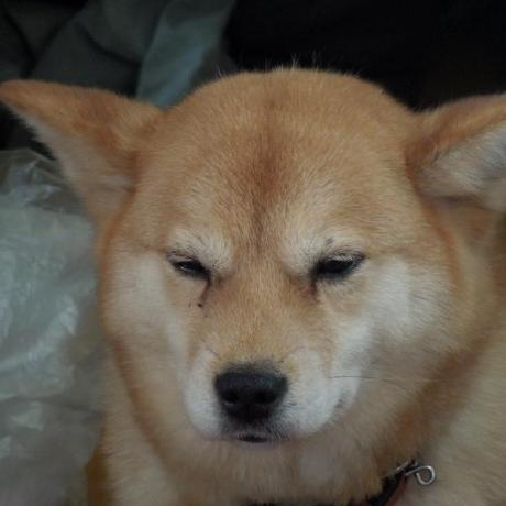 Akira 045 Github - Best Abstract Textures in Ultra HD