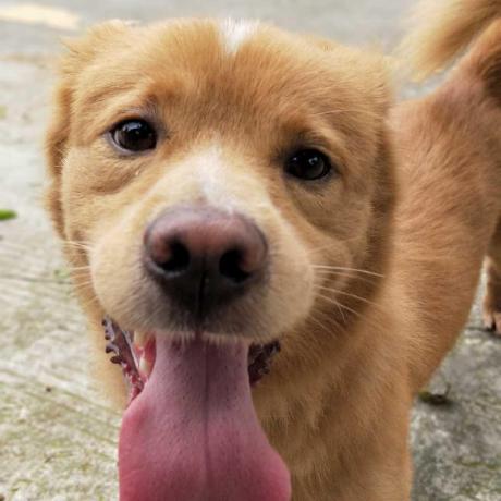 Github Kyleclk Meituanhook Accessibilityservice Opencv - Space Illustrations - Modern High Resolution Collection