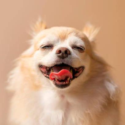 Fortuna Github Topics Github - Perfect Dark Background - Ultra HD