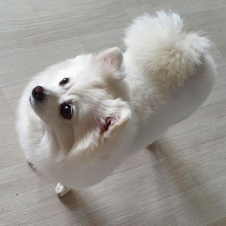 Github Yuichisadog Yuichisadog - Retina Light Photos for Desktop