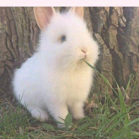 Taron Erica Yflout Github - Space Art Collection - 4K Quality