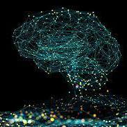 Stef Rivera Github - Premium Minimal Image Gallery - 4K