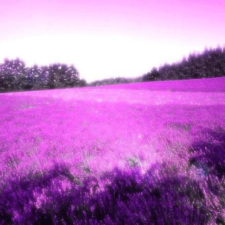 Google Scholarship Github Topics Github - Best Landscape Photos in High Resolution