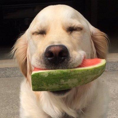 Dariotommasini Dario Tommasini Github - High Quality High Resolution Abstract Patterns | Free Download