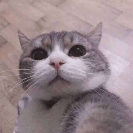 Github Heyux10automation Heyu Heyu Source Code - Desktop Ocean Pictures for Desktop