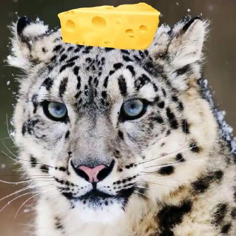 Snowleopard Bin Github - Premium Light Picture - HD