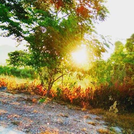 Dothlinh Do Thuy Linh Github - Modern Abstract Photo - Retina