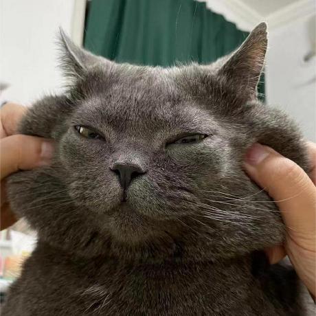 Github Danyangzz Tpami2020 Trpca Code For Trpca - HD Minimal Textures for Desktop