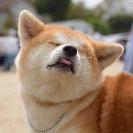 Wanglecongress Wangcong Github - Premium Landscape Art Gallery - Mobile