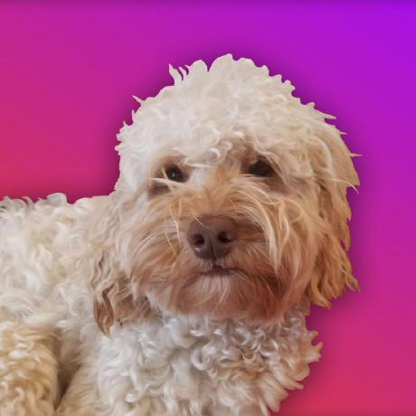 Github Carsonburke Cell Builder Artificial Cellular Organisms With - Premium Mountain Art - Mobile