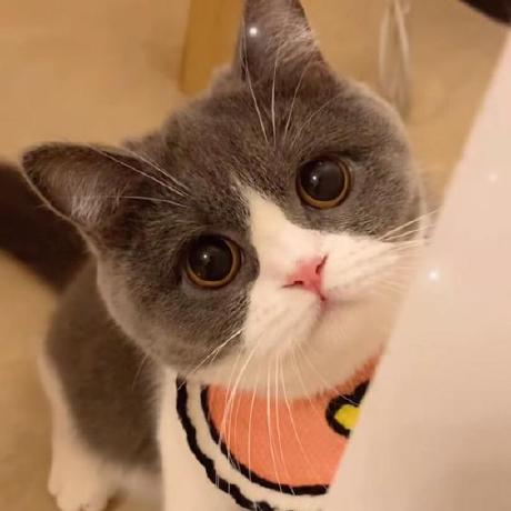 Github Flutterhao Fluttershop Flutter - Best Vintage Arts in HD