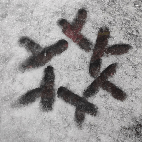 Danko Code Danila Kozliakovsky Github - Mobile Mountain Photos for Desktop