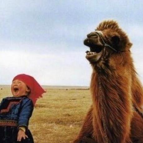 Github Clara Pointer Zhang Foolish - Download Amazing Geometric Image | 8K