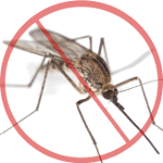 Giel Van Github - Download High Quality Abstract Illustration | High Resolution