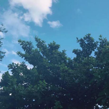 Github Hzy Cq Cqyd - Perfect Mountain Art - 8K