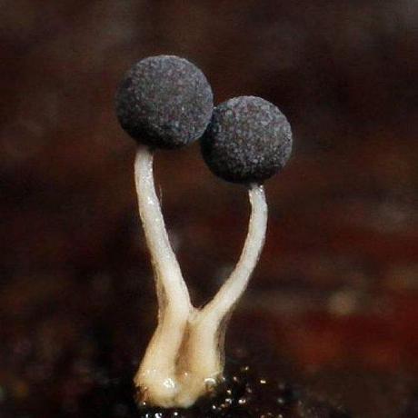 Github Euphoriaer Simplefile - High Resolution City Photos for Desktop