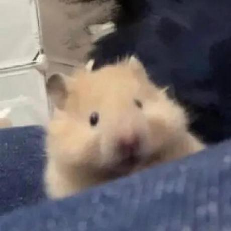 Risu Project Github - Classic Dark Art - Mobile