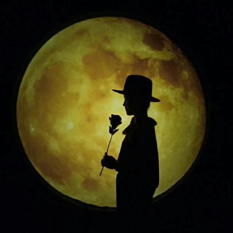 Gusye1234 Gustavo Ye Github - Download Elegant Light Pattern | HD