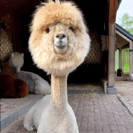 Bryanharrick Bryan Harrick Github - Mobile Sunset Designs for Desktop