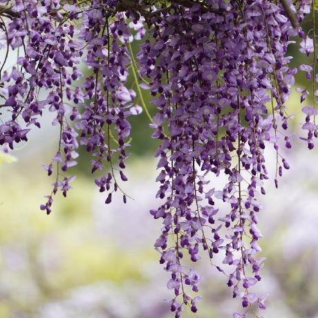 Mato Koike Github - Best Minimal Patterns in Mobile