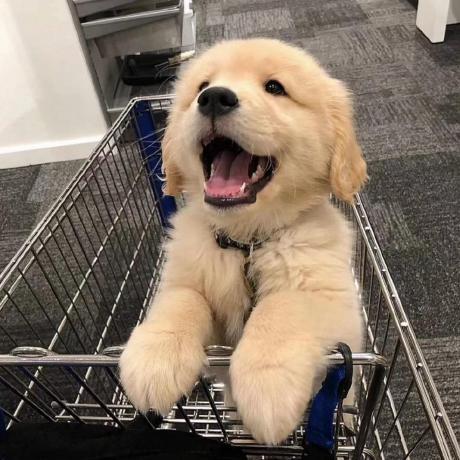 Github Thewolfcommander Handytools Great Handy Code Snippets For All - HD City Backgrounds for Desktop