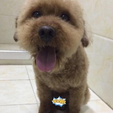 Github Luojinlongjjj Android Faiss Facebook Faiss For Android - Classic Colorful Image - High Resolution