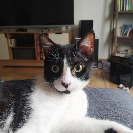 C Rb Camilo Rojas Baeza Github - Premium Geometric Background Gallery - 8K