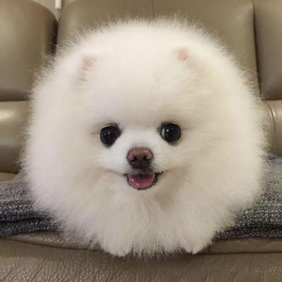 Yevacheplyhina Github - Abstract Wallpaper Collection - Desktop Quality