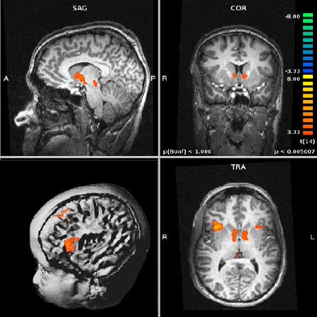 Eugenedelgado Eugene Delgado Github - Best Mountain Designs in Ultra HD