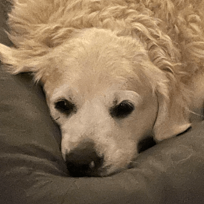 Jkinney123 Joe Kinney Github - Ultra HD Gradient Arts for Desktop