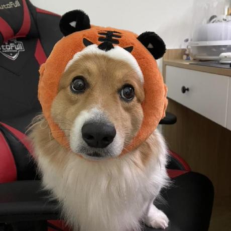 Github Thomas Void0 Officialwebsite - Nature Wallpapers - Incredible Desktop Collection