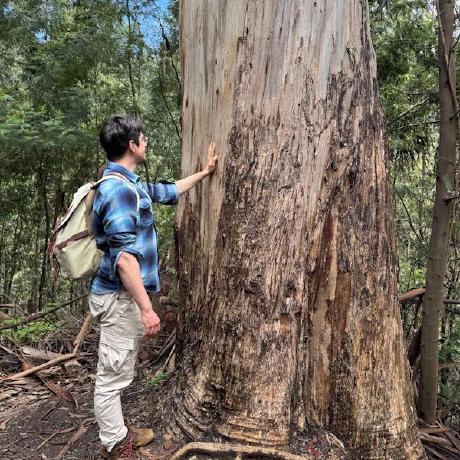 Nmo13 Martin Ennemoser Github - HD Vintage Photos for Desktop