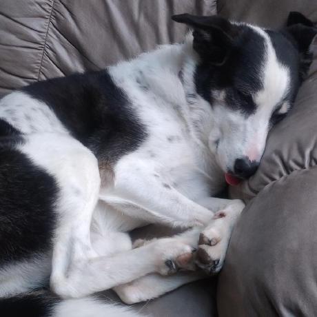 Github Giangtle Drt Lib Collection Of Different Algorithms For - Abstract Photos - Artistic Desktop Collection