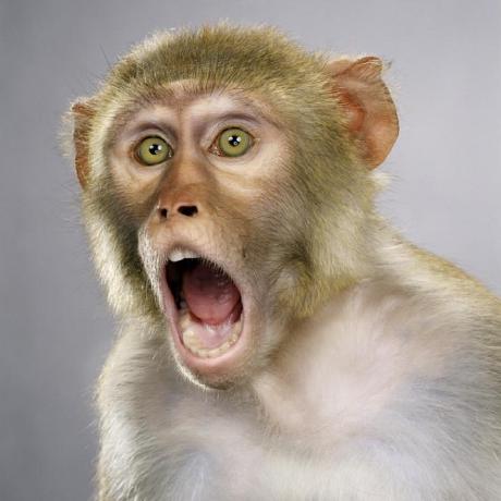 Quicksnap Dan Schuman Github - Premium Sunset Background Gallery - 4K