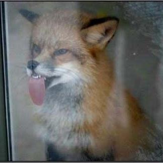 Microdurability Minecraft Mod - Best Minimal Arts in Full HD