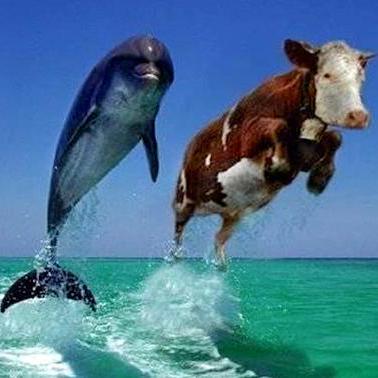 Cotiviti Varac Github - Best Mountain Photos in HD