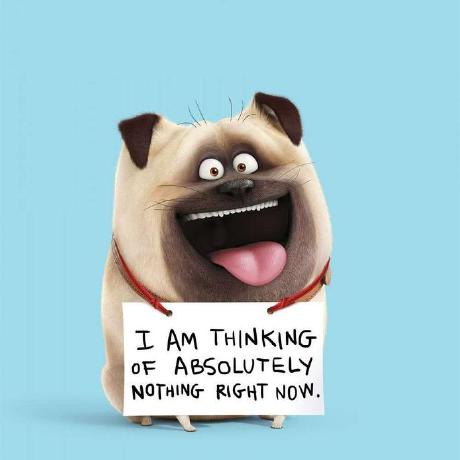 Weilong Gao Weilong Gao Github - Download Beautiful Ocean Picture | Desktop