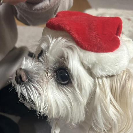 Fuji Yu Yuta Fujiya Github - Premium City Texture Gallery - Desktop