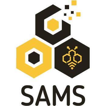 Github Irenemarcello Sams Dev - 8K Colorful Arts for Desktop