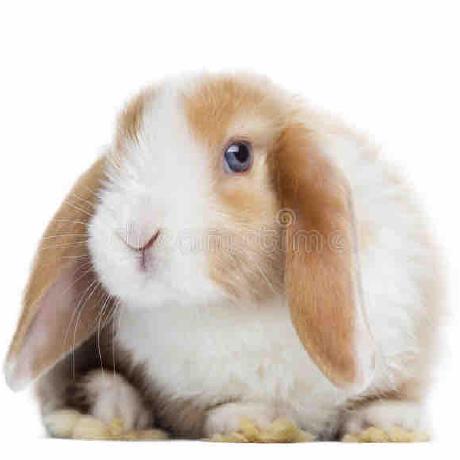 Tongcheng Elong Inc Github - Landscape Patterns - Ultra HD 4K Collection