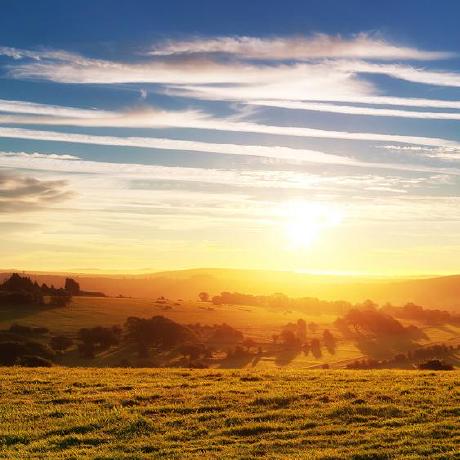 Github Shiotsukikaedesari Vis Three Display - Mobile Dark Patterns for Desktop