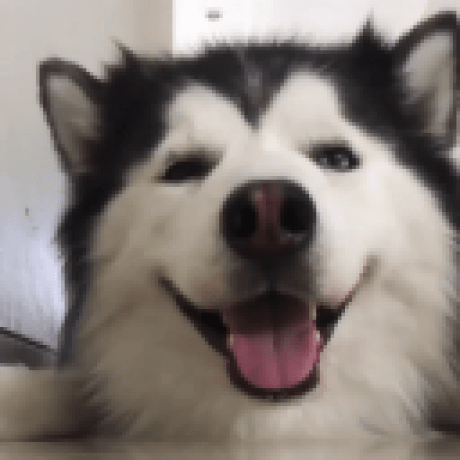 Releases Hermanos Dev Hermanos Script Github - Amazing Mobile Space Backgrounds | Free Download