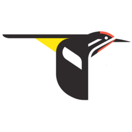 Petermacaulay7 Peter Macaulay Github - High Quality Abstract Picture - 8K