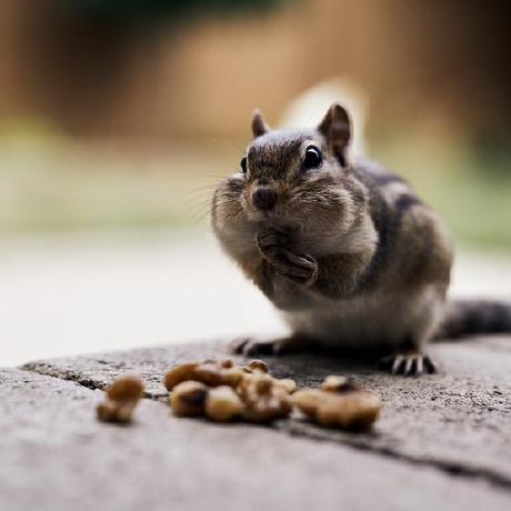 Vasile Ignat Github - Landscape Wallpaper Collection - 8K Quality