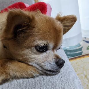 Github Taki Mo New Repo Formation Git - Download Gorgeous Abstract Photo | Desktop